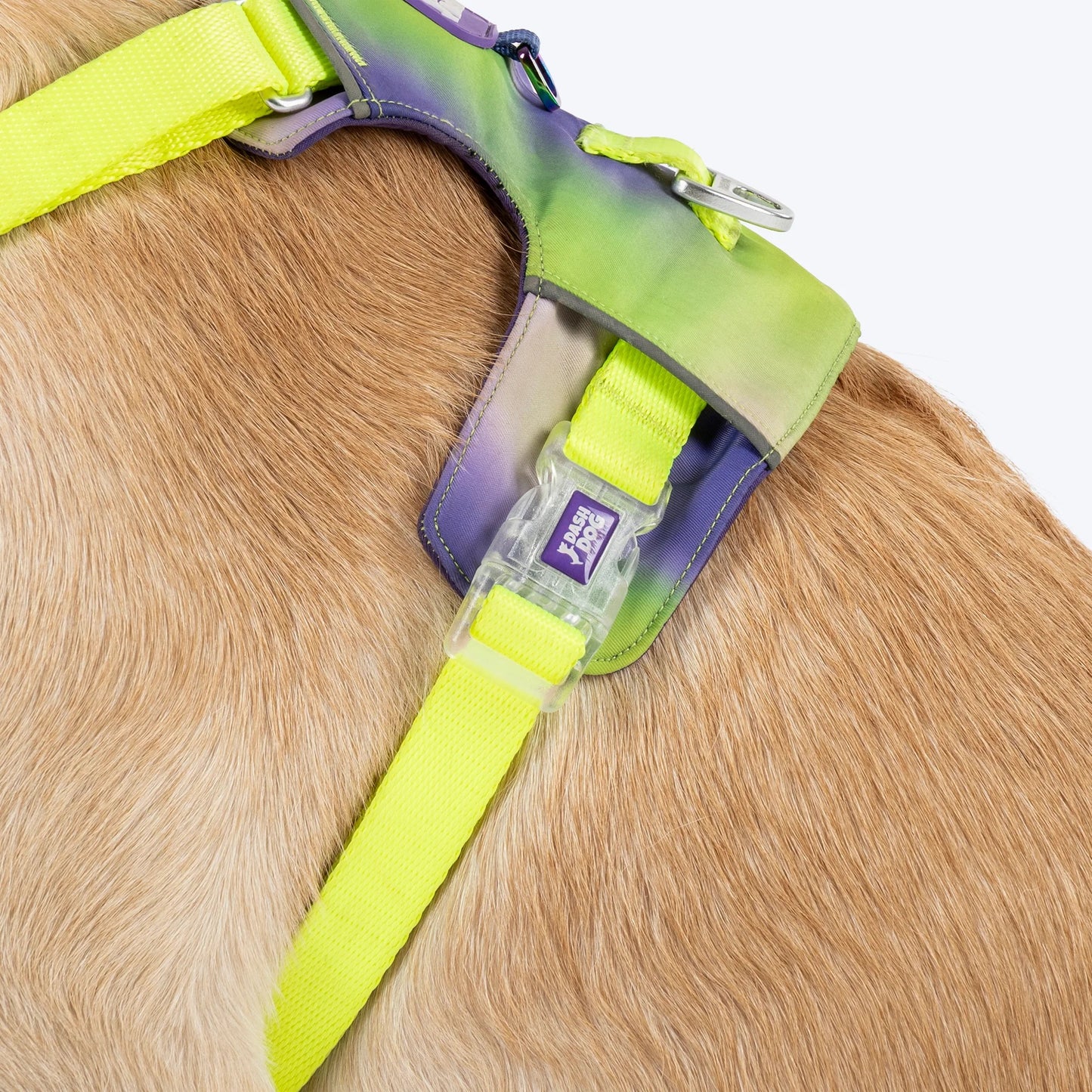 Dash Dog Neon Fusion Outdoor Fit Harness For Dog - Neon Green