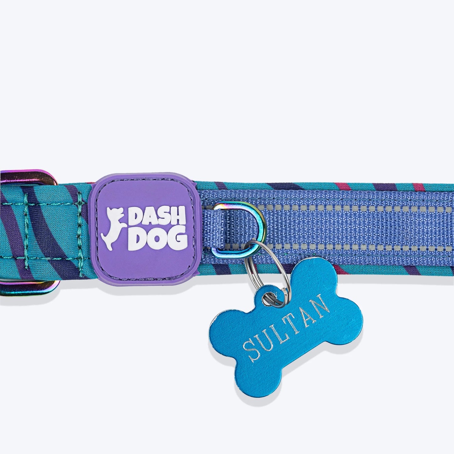 Dash Dog Ocean Breeze Padded Collar For Dog - Teal Blue
