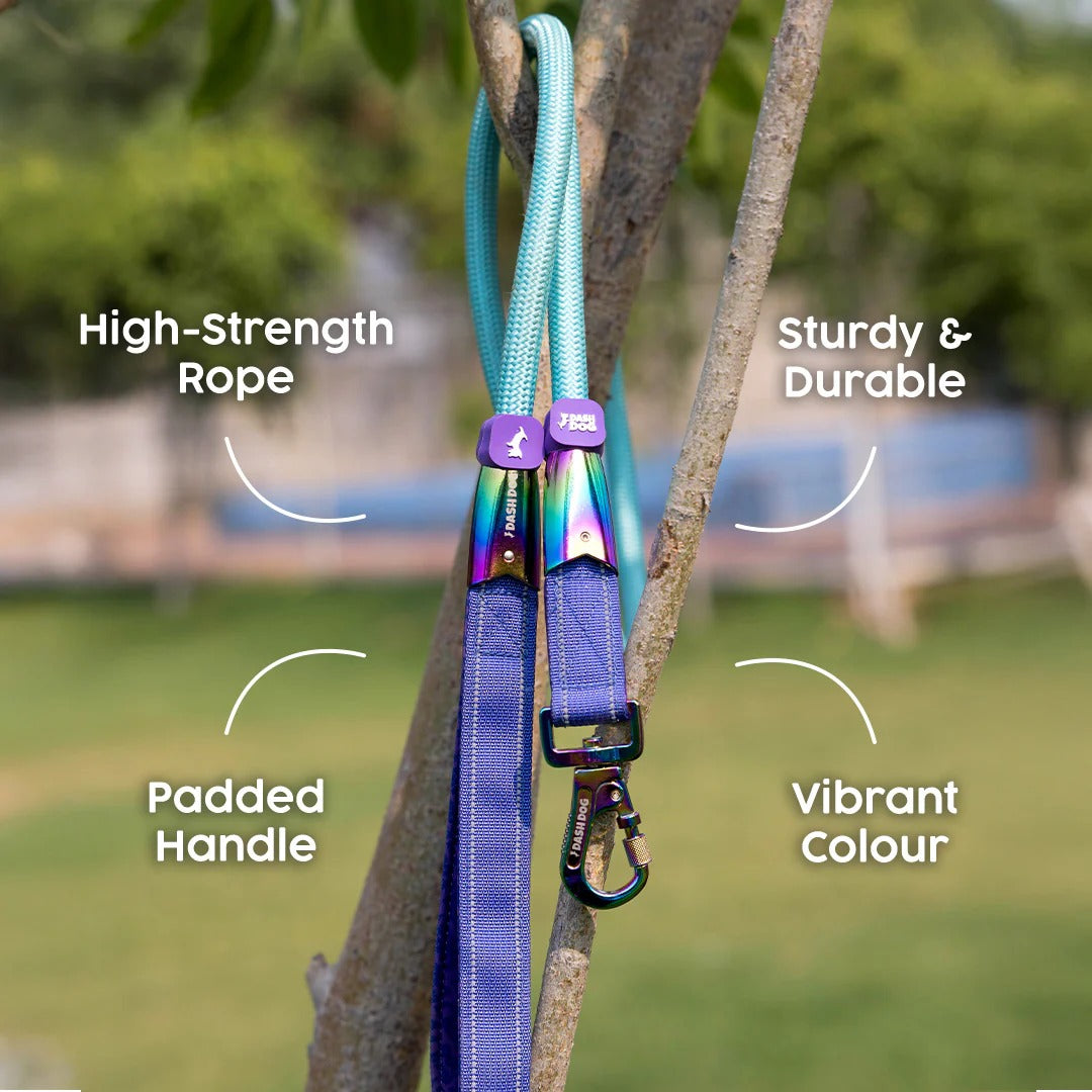 Dash Dog Wanderer Rope Leash For Dog - Aqua Blue