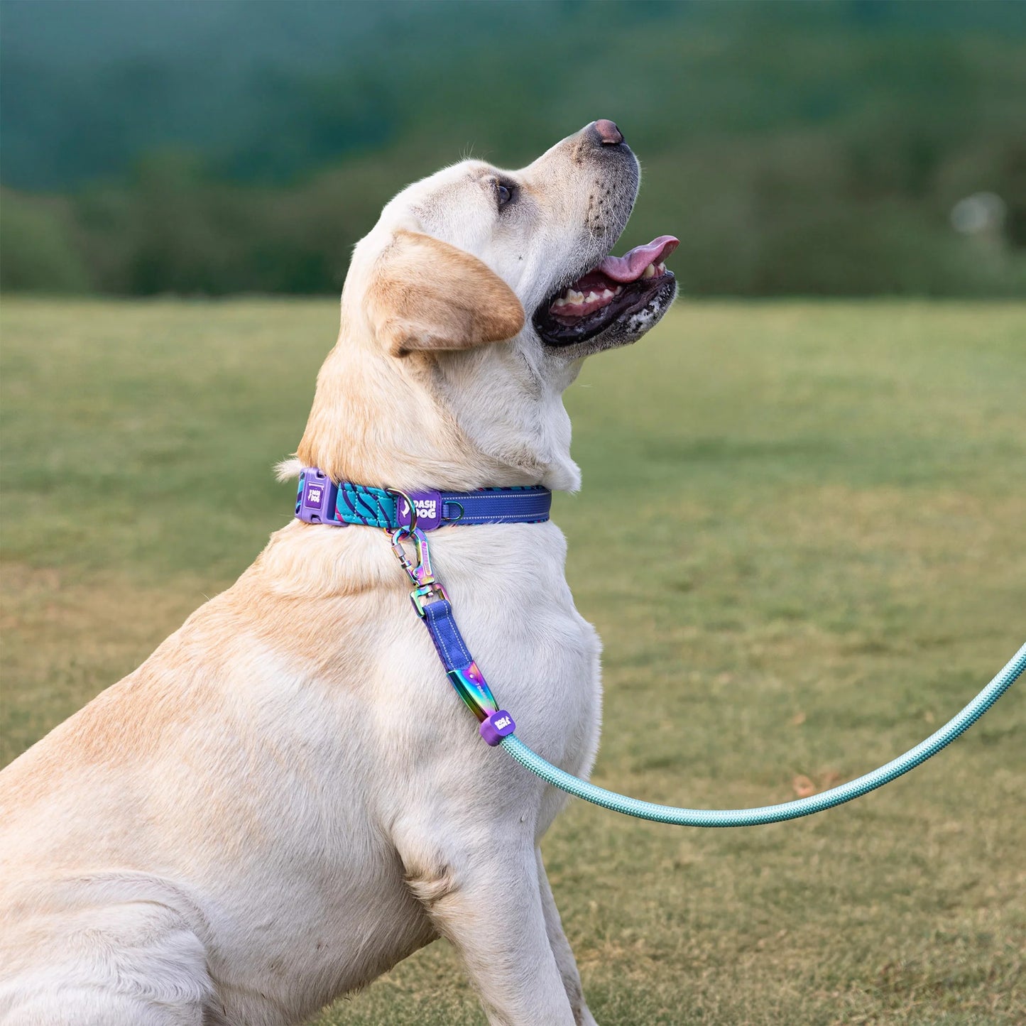 Dash Dog Wanderer Rope Leash For Dog - Aqua Blue