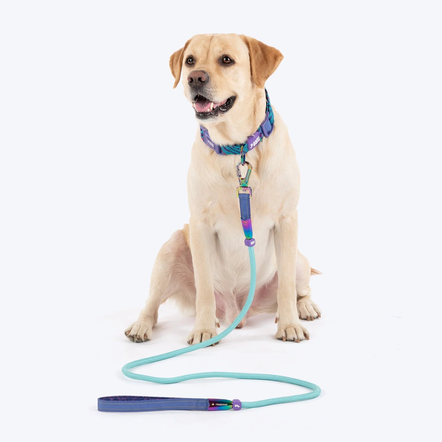 Dash Dog Wanderer Rope Leash For Dog - Aqua Blue