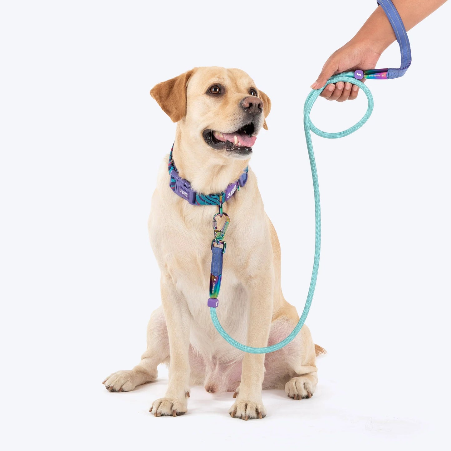 Dash Dog Wanderer Rope Leash For Dog - Aqua Blue