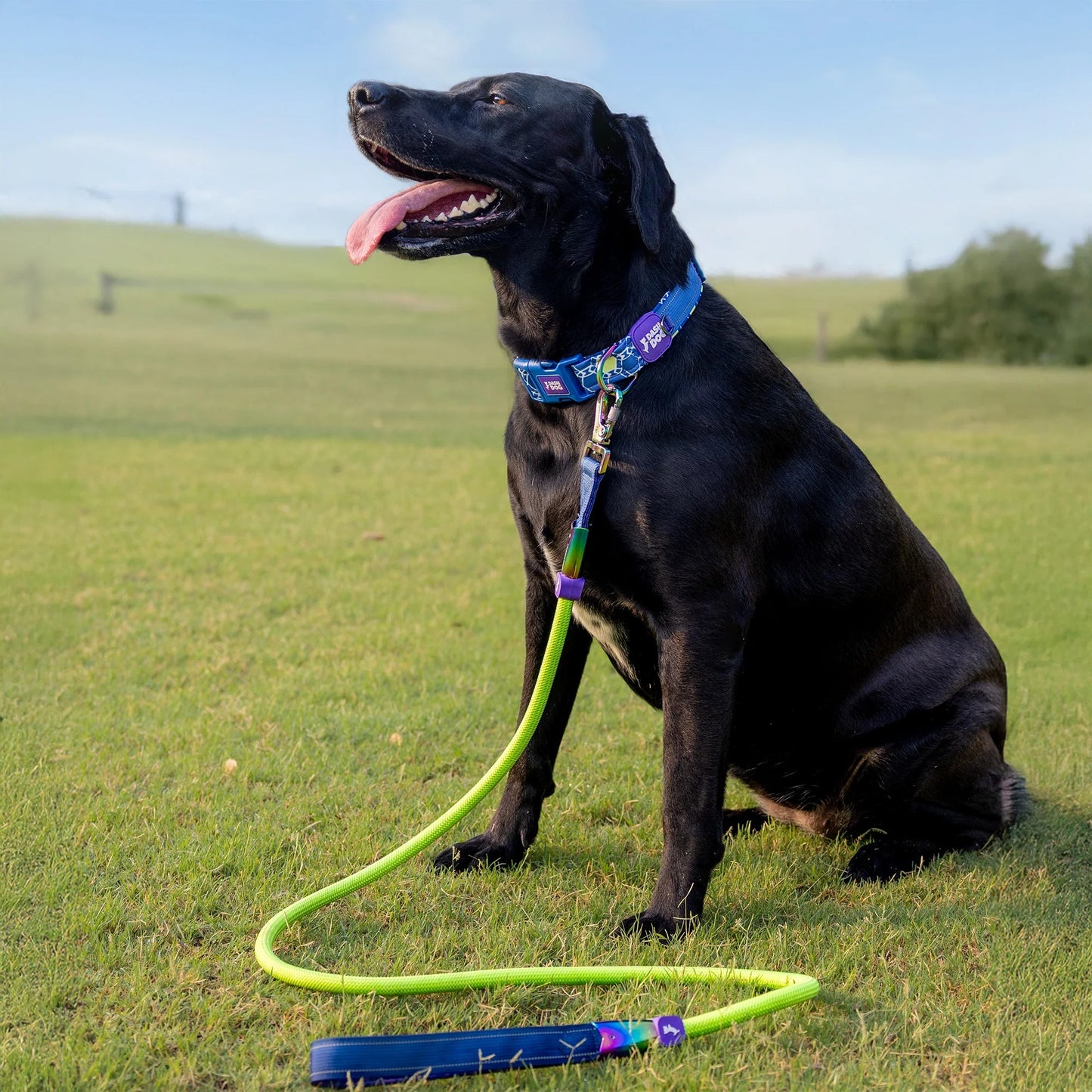 Dash Dog Wanderer Rope Leash For Dog - Neon Green