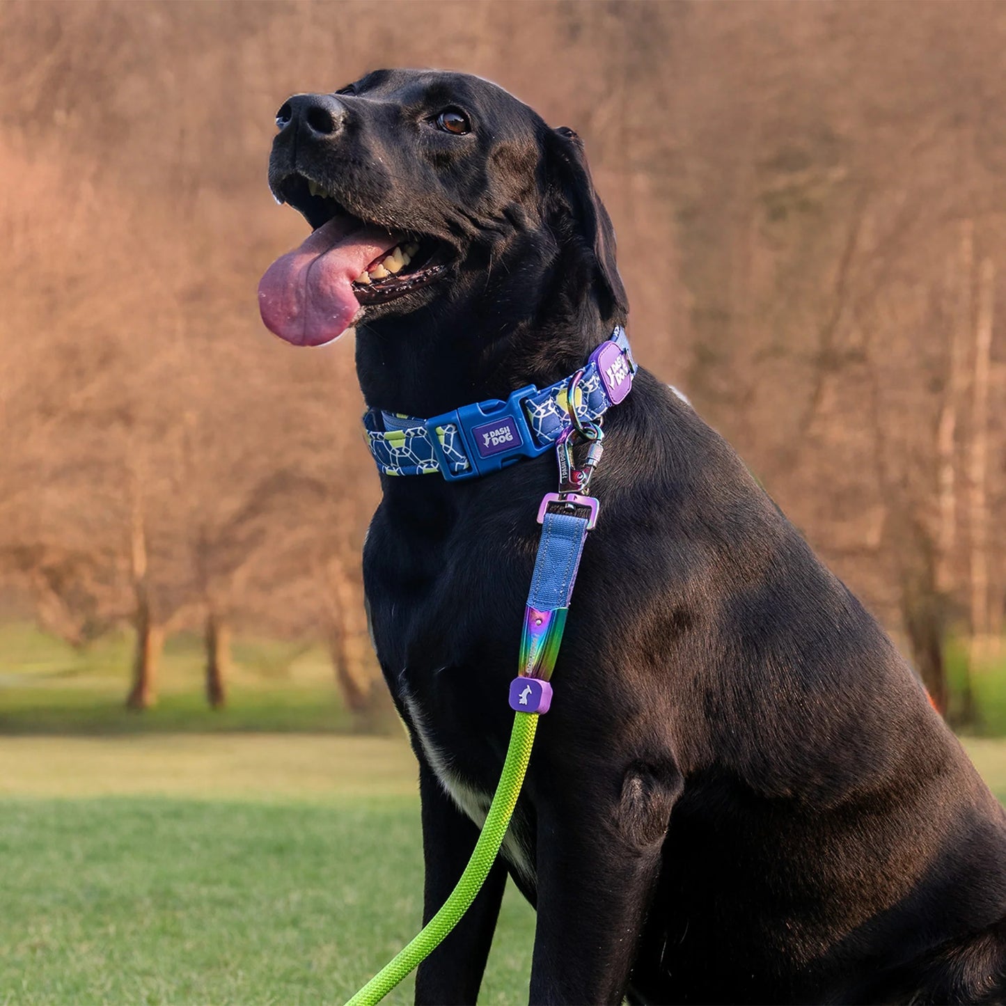 Dash Dog Wanderer Rope Leash For Dog - Neon Green
