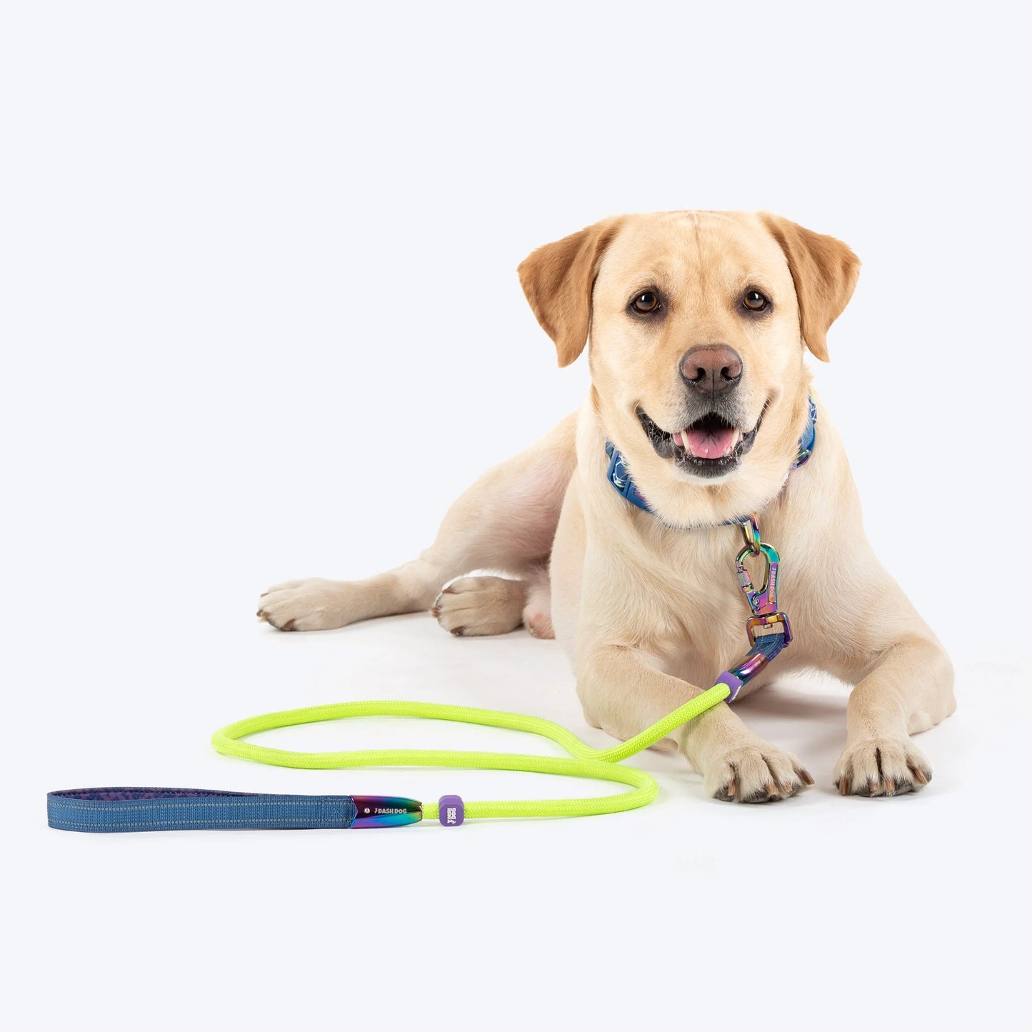 Dash Dog Wanderer Rope Leash For Dog - Neon Green