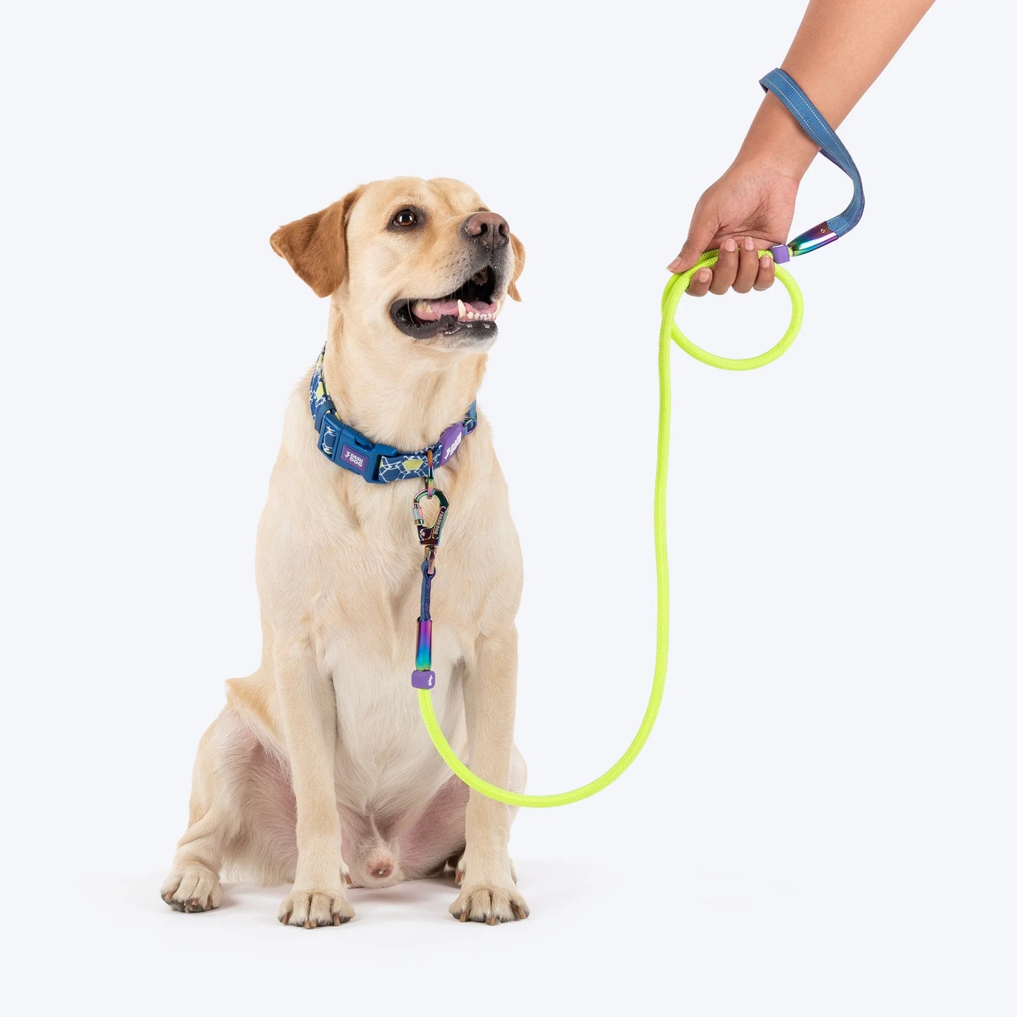 Dash Dog Wanderer Rope Leash For Dog - Neon Green