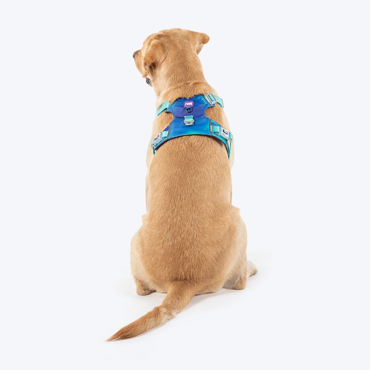 Dash Dog Seafoam Storm Outdoor Fit Harness For Dog - Aqua Blue