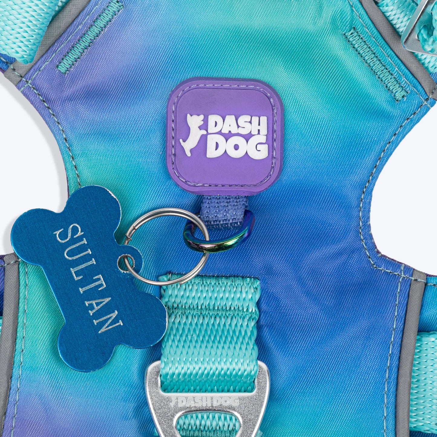 Dash Dog Seafoam Storm Outdoor Fit Harness For Dog - Aqua Blue