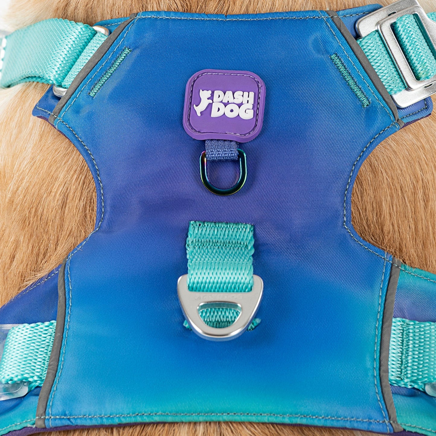 Dash Dog Seafoam Storm Outdoor Fit Harness For Dog - Aqua Blue