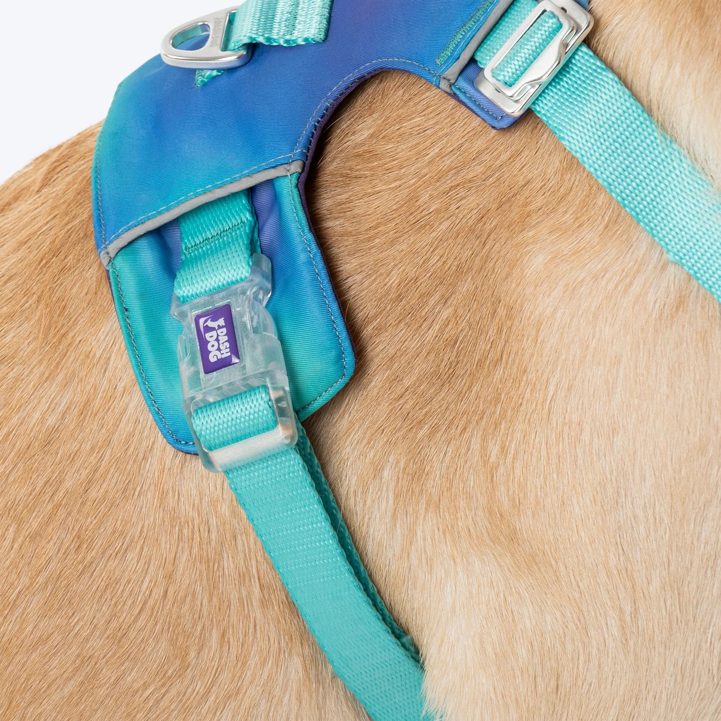 Dash Dog Seafoam Storm Outdoor Fit Harness For Dog - Aqua Blue