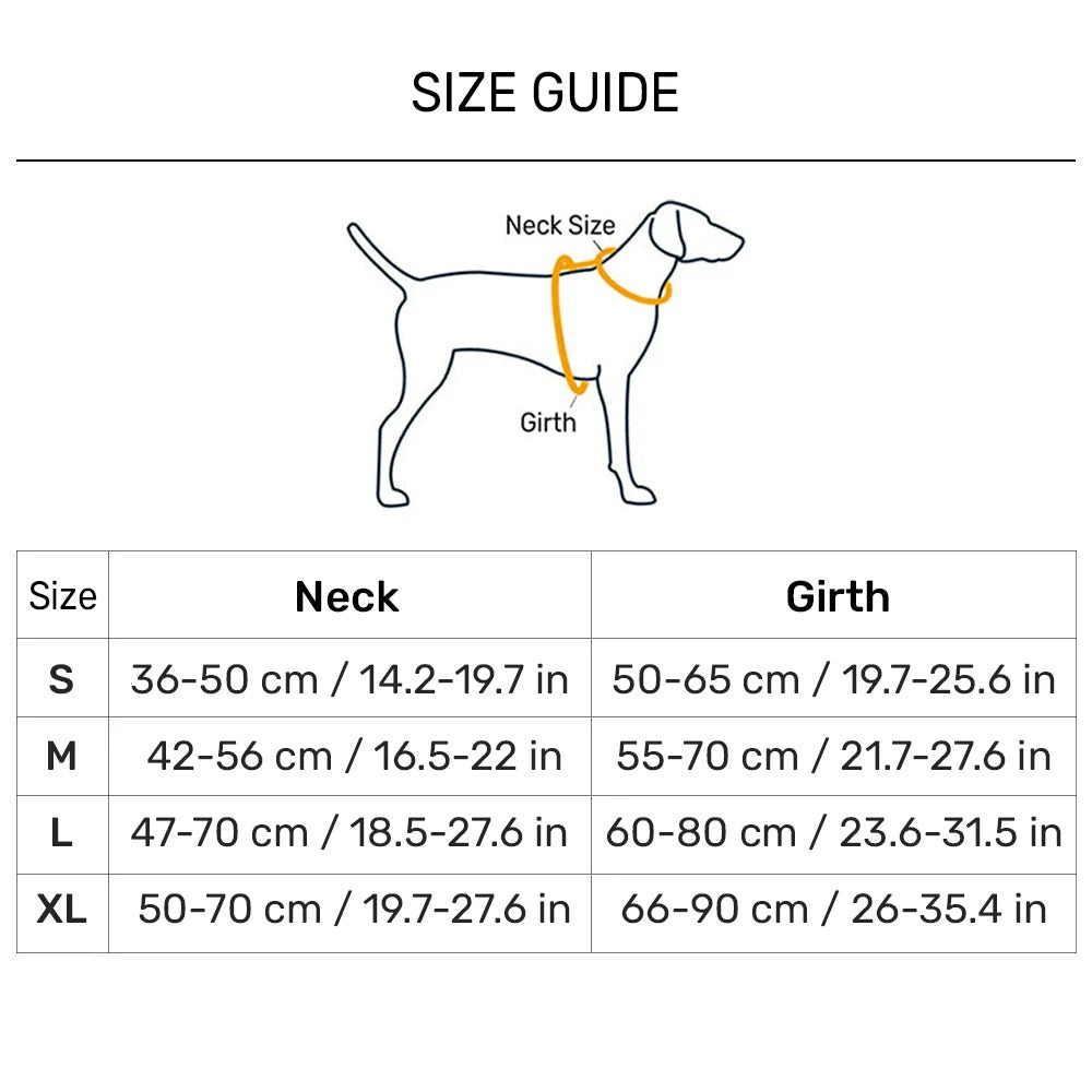 Dash Dog Seafoam Storm Outdoor Fit Harness For Dog - Aqua Blue