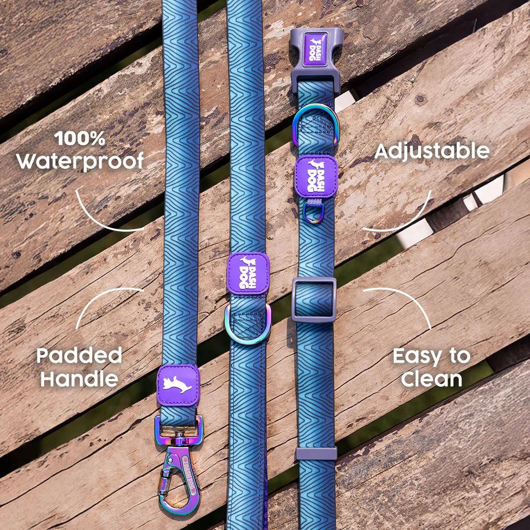 Dash Dog Trail Tails Waterproof Collar & Leash Set For Dog - Blue
