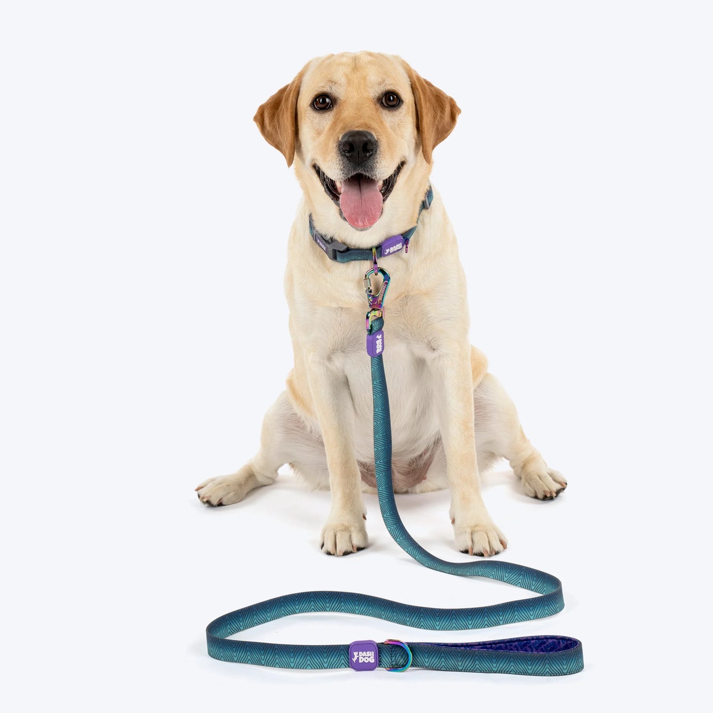 Dash Dog Trail Tails Waterproof Collar & Leash Set For Dog - Blue