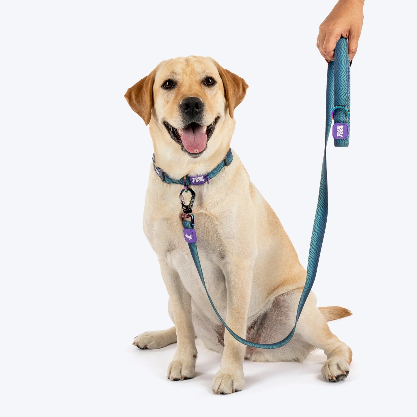 Dash Dog Trail Tails Waterproof Collar & Leash Set For Dog - Blue
