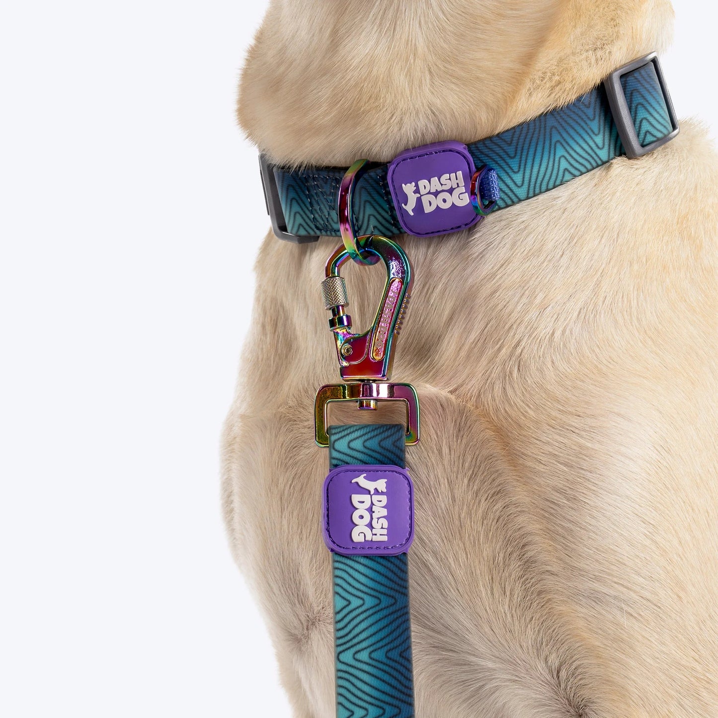Dash Dog Trail Tails Waterproof Collar & Leash Set For Dog - Blue