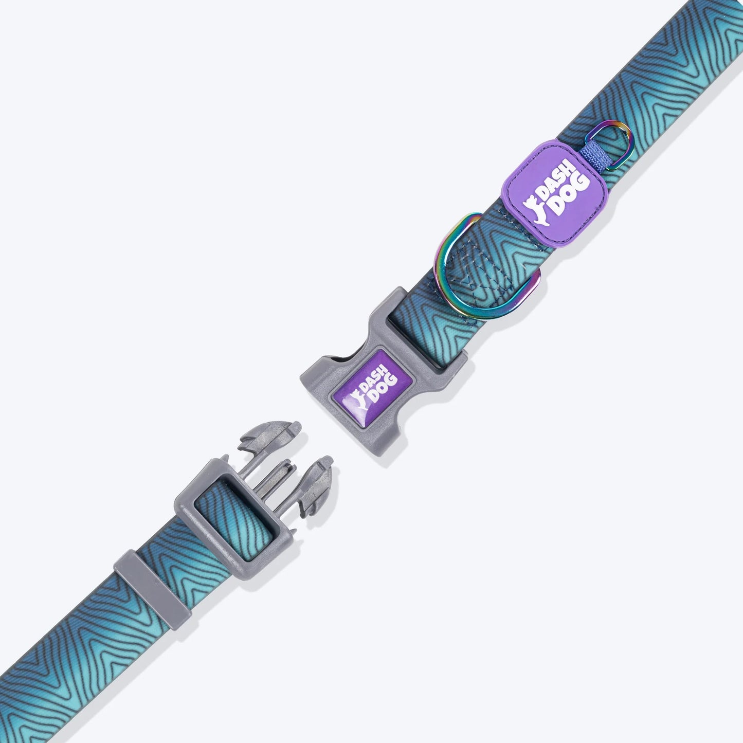 Dash Dog Trail Tails Waterproof Collar & Leash Set For Dog - Blue