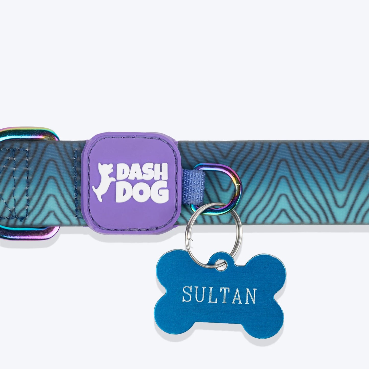 Dash Dog Trail Tails Waterproof Collar & Leash Set For Dog - Blue