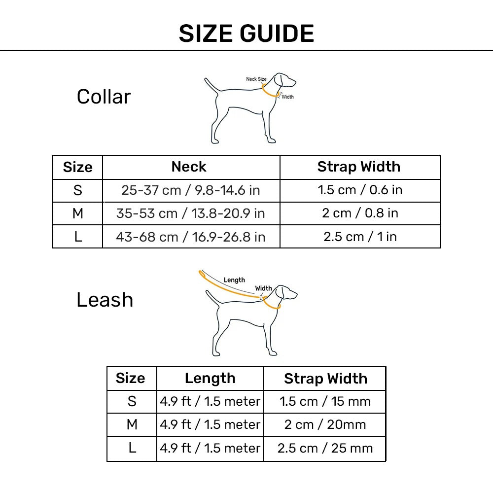 Dash Dog Trail Tails Waterproof Collar & Leash Set For Dog - Blue