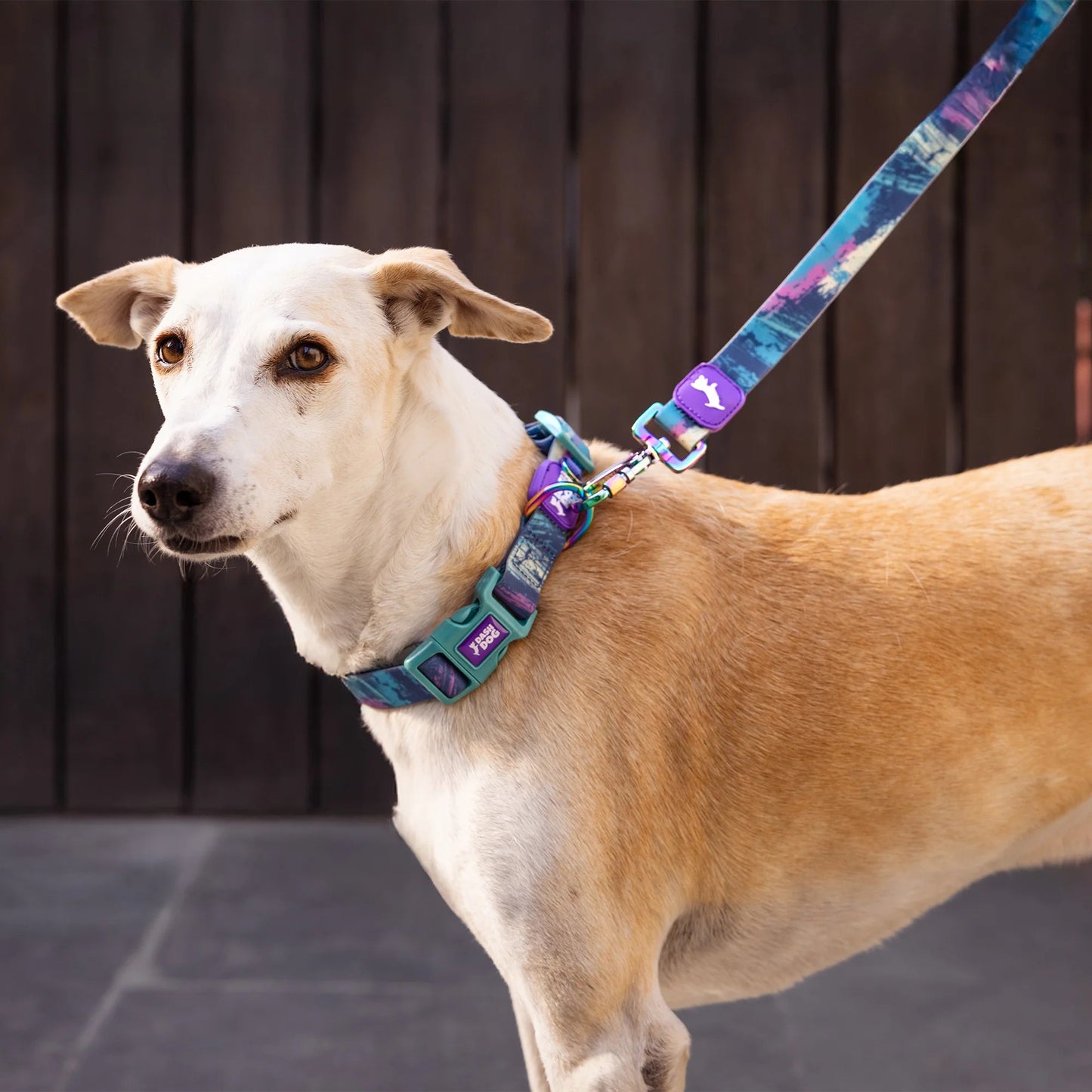 Dash Dog Wild Ridge Waterproof Collar & Leash Set For Dog - Green