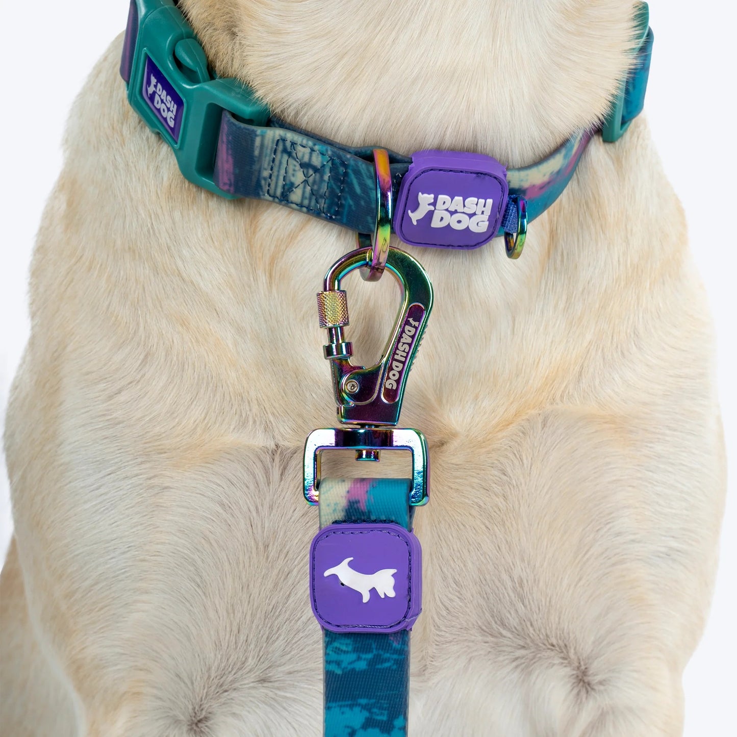 Dash Dog Wild Ridge Waterproof Collar & Leash Set For Dog - Green