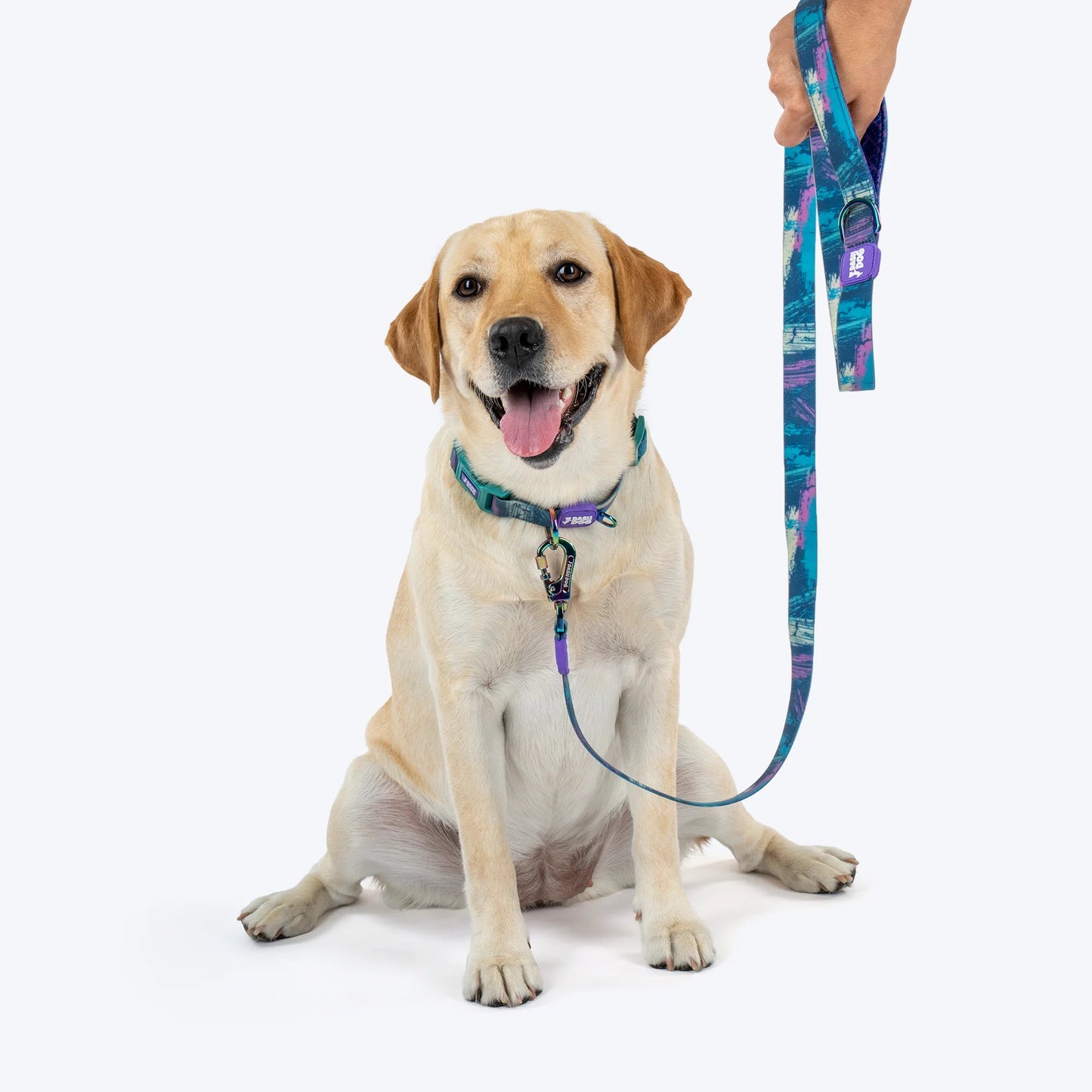Dash Dog Wild Ridge Waterproof Collar & Leash Set For Dog - Green