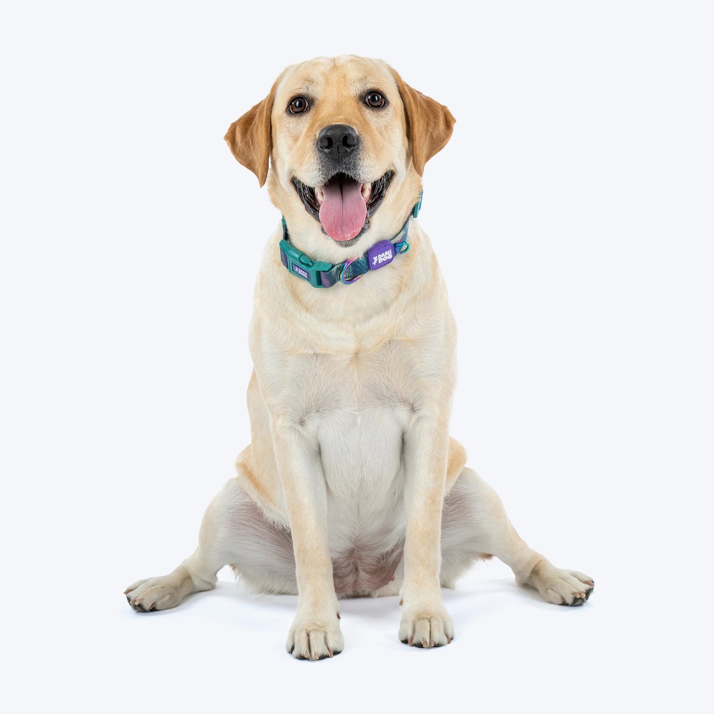 Dash Dog Wild Ridge Waterproof Collar & Leash Set For Dog - Green