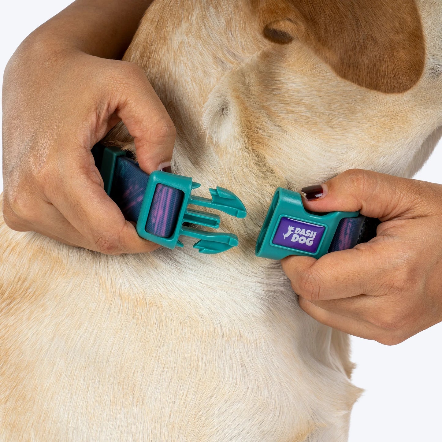 Dash Dog Wild Ridge Waterproof Collar & Leash Set For Dog - Green