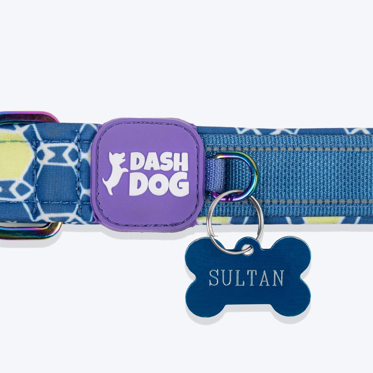 Dash Dog Wildcrest Padded Collar For Dog - Blue & Neon Green