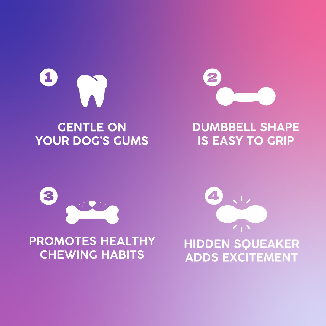 Dash Dog Gnaw & Go Squeaky Toy For Dog - Purple & Blue