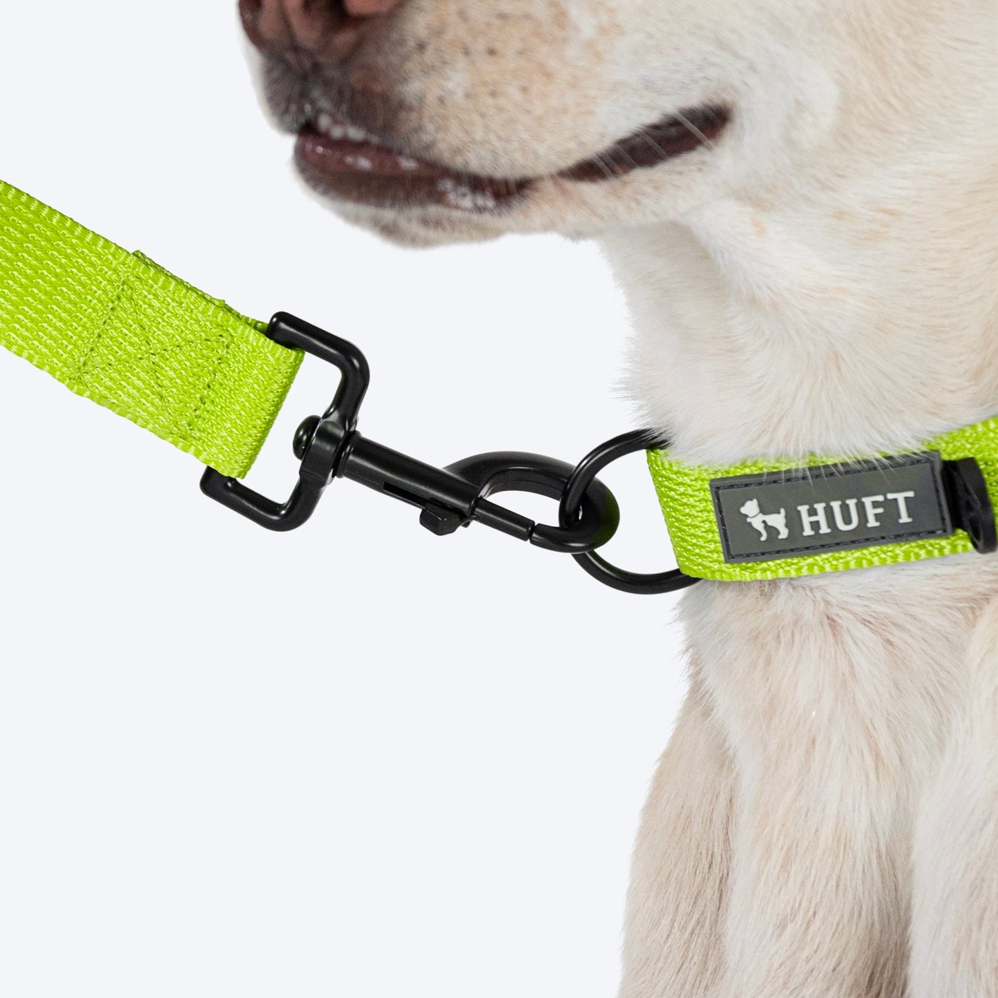 HUFT Basics Dog Collar - Neon Green - Heads Up For Tails