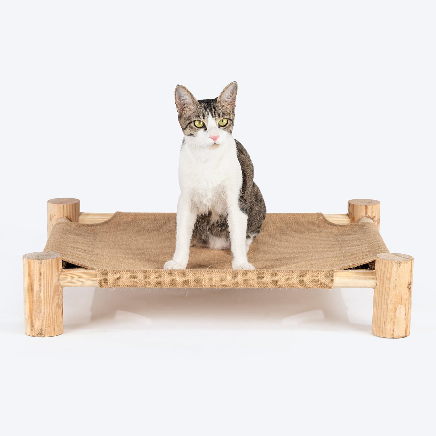 HUFT Elevated Cot Bed For Cats - Brown