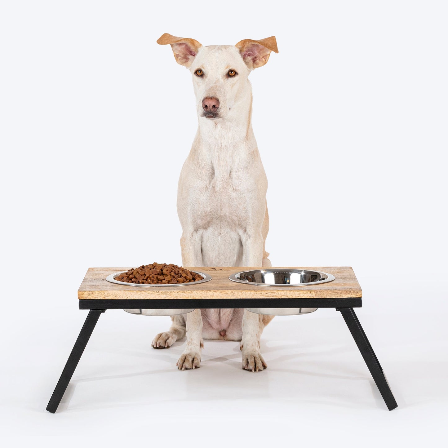 HUFT Collapsible Wooden Diner With Steel Bowl Inserts For Dog