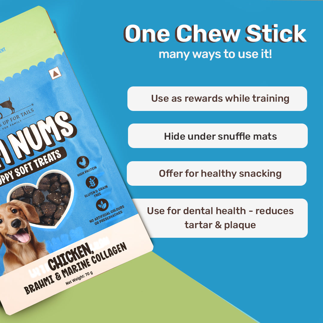 HUFT Yum Nums Chicken, Brahmi & Marine Collagen Puppy Soft Treats - 70 g