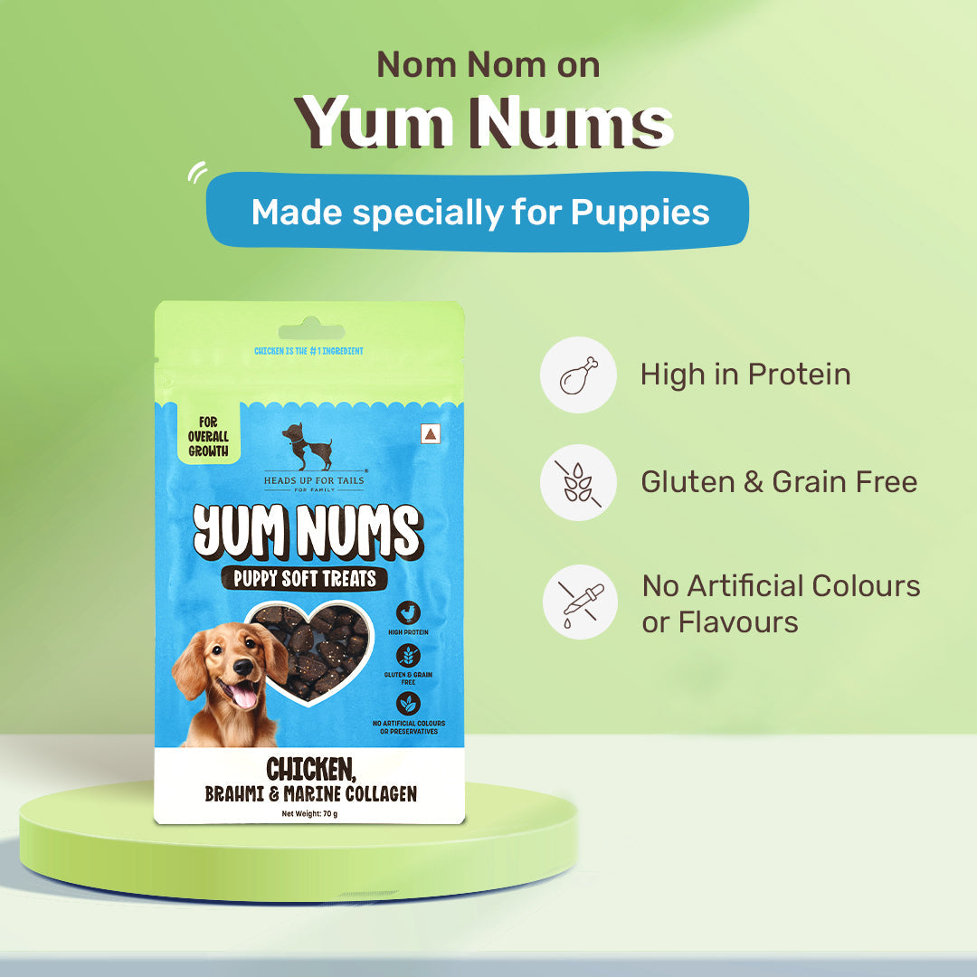 HUFT Yum Nums Chicken, Brahmi & Marine Collagen Puppy Soft Treats - 70 g