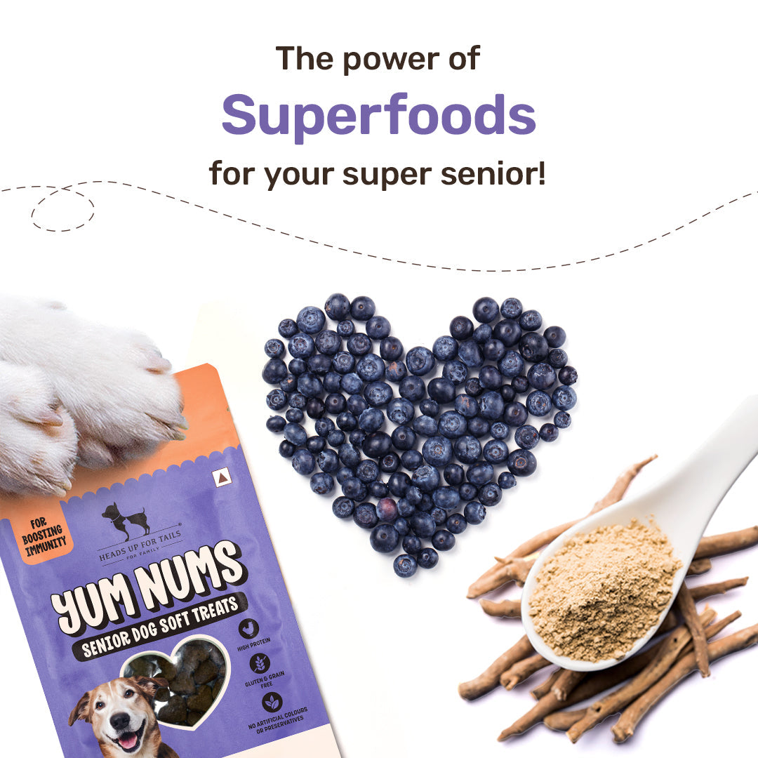 HUFT Yum Nums Chicken, Blueberries & Ashwagandha Soft Treat For Senior Dog - 70 g