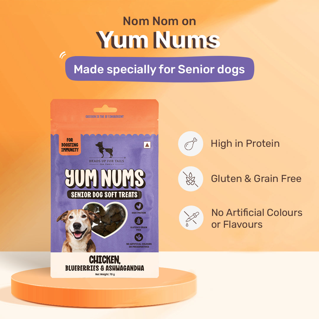 HUFT Yum Nums Chicken, Blueberries & Ashwagandha Soft Treat For Senior Dog - 70 g