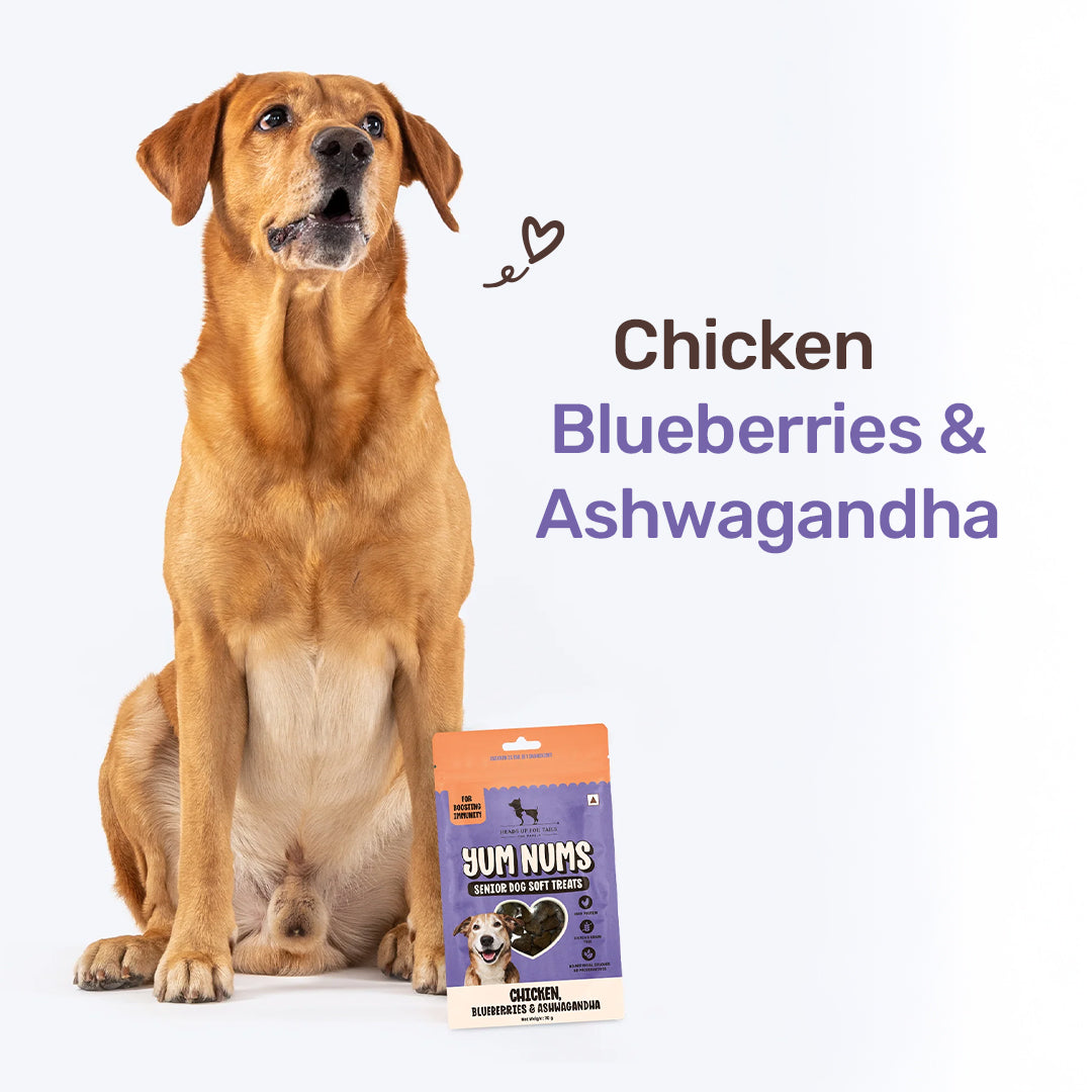 HUFT Yum Nums Chicken, Blueberries & Ashwagandha Soft Treat For Senior Dog - 70 g