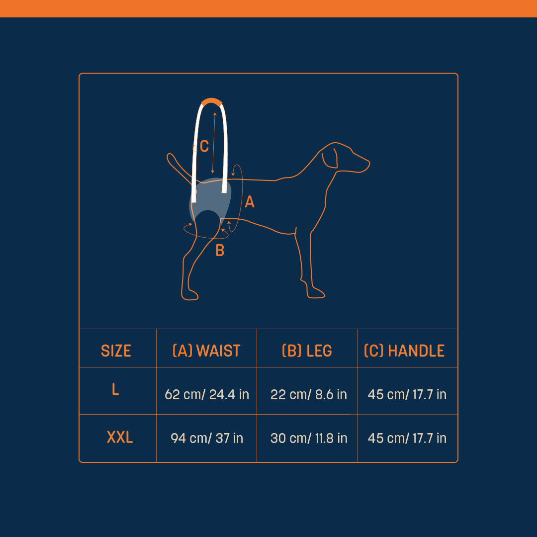 HUFT Trooper Hind Leg Support Lift Harness For Dogs - Navy Blue - Set Of 2