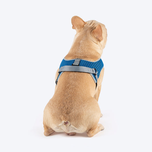 HUFT Easy Fit U-Harness For Dogs - Blue