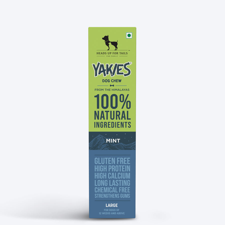 HUFT Yakies Vegetarian Natural Chew Bone - Mint - 55 gm