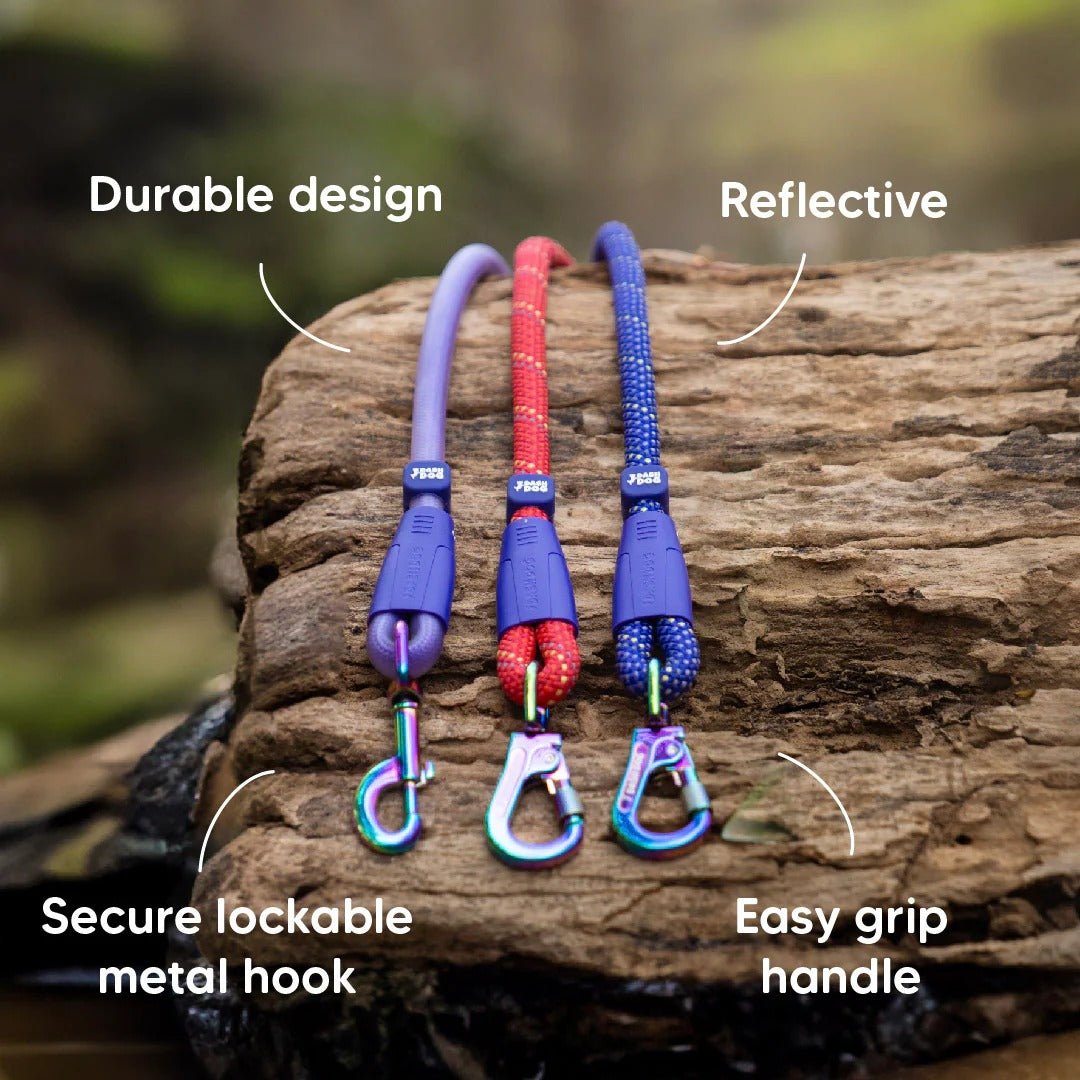 Dash Dog Zoom Easy Leash For Dog - Purple