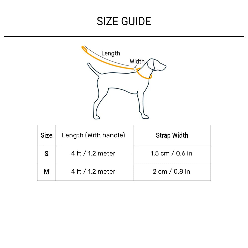 HUFT Color Fushion Waterproof Leash For Dog - Sky Blue & Navy