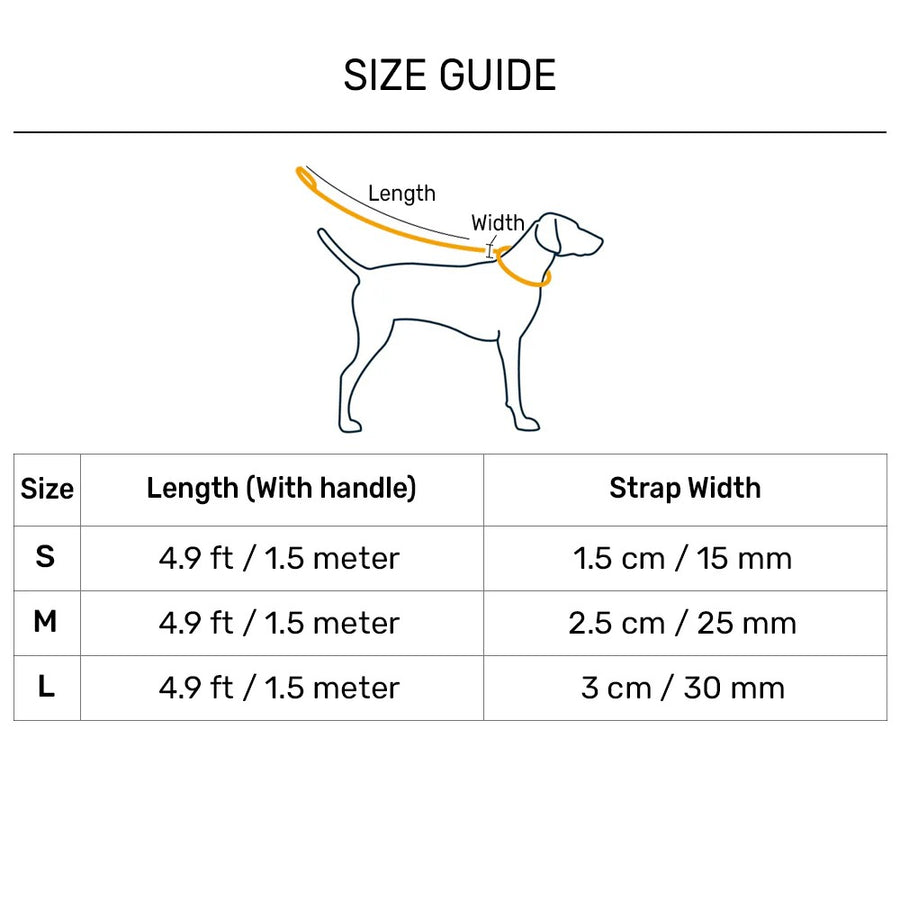 Dash Dog Flow Dual Handle Leash For Dog - Red & Purple
