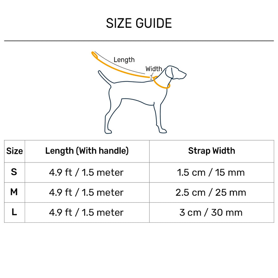 Dash Dog Vector Dual Handle Leash For Dog - Aqua Blue
