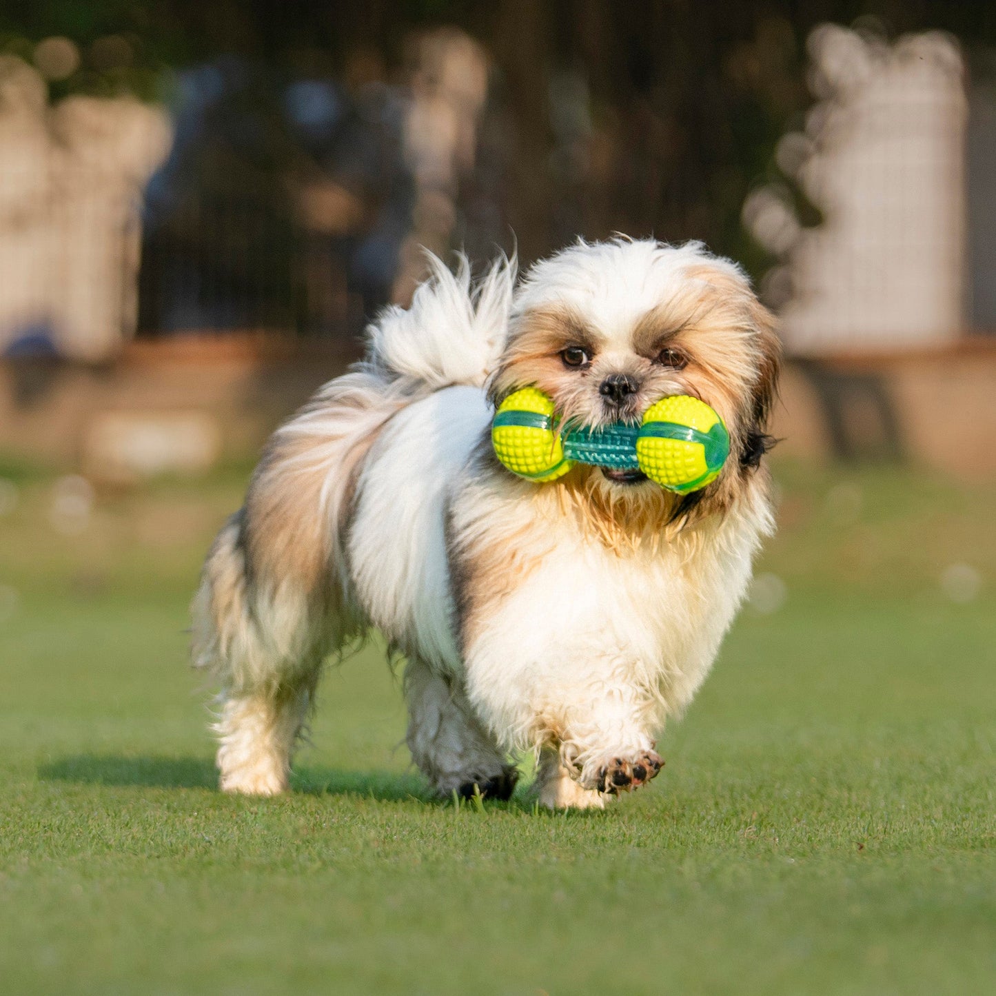 Dash Dog Extreme Play Squeaky Dumbbel Toy For Dog - Green