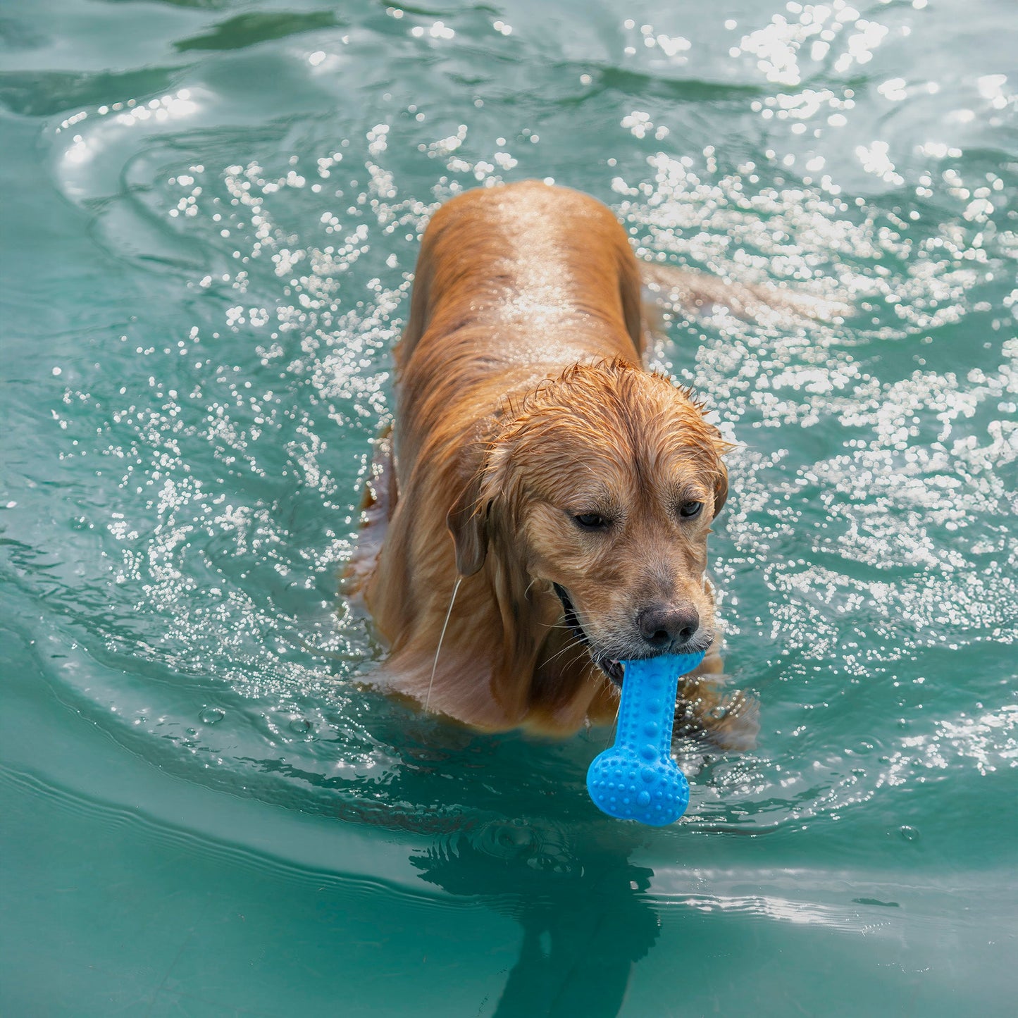 Dash Dog Softy Spiker Toy For Dog