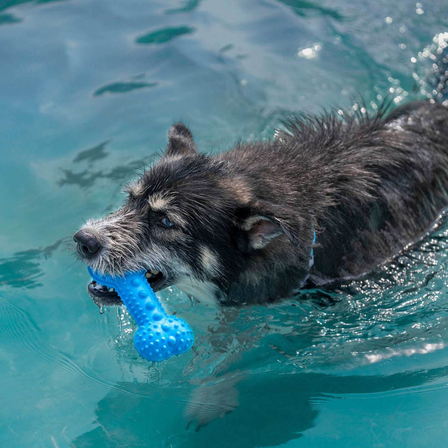 Dash Dog Softy Spiker Toy For Dog