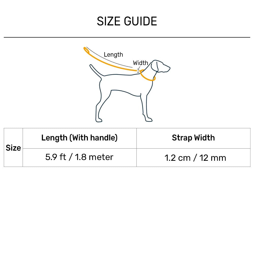 Dash Dog Zoom Easy Leash For Dog - Purple