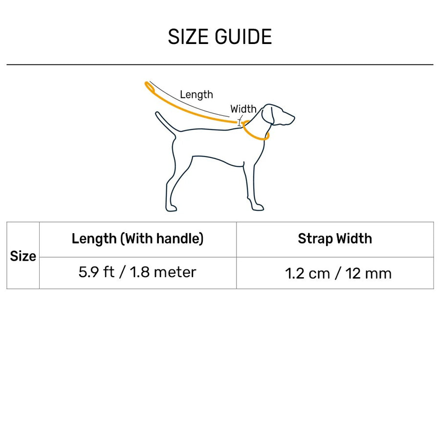 Dash Dog Zoom Easy Leash For Dog - Purple