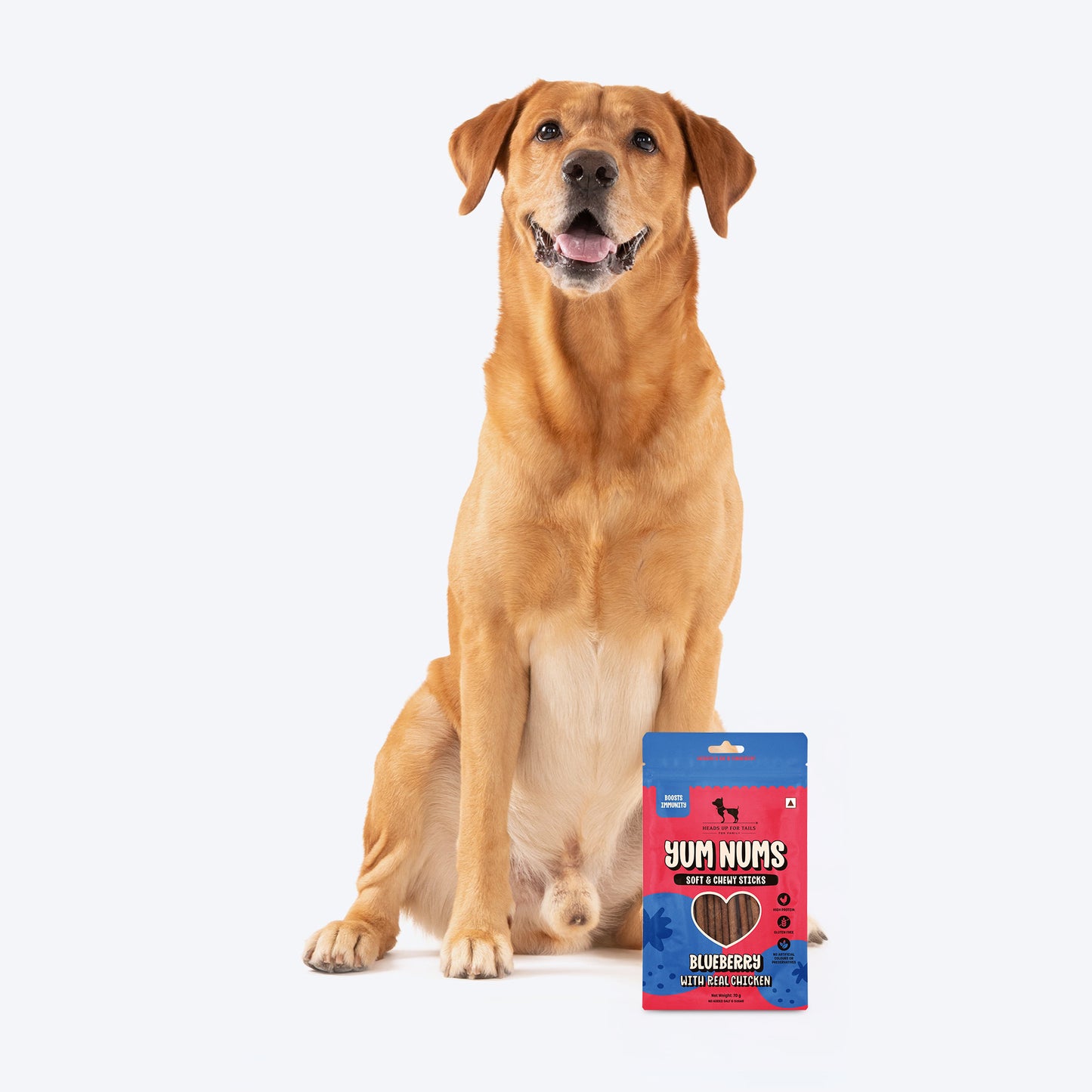 HUFT Yum Nums Blueberry With Real Chicken Soft & Chewy Sticks Treat For Dogs - 70 g